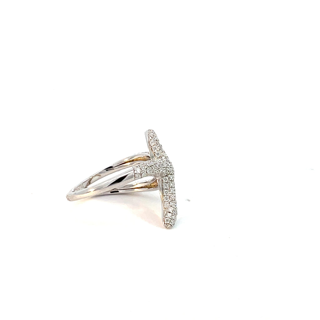 Silver labstone starfish